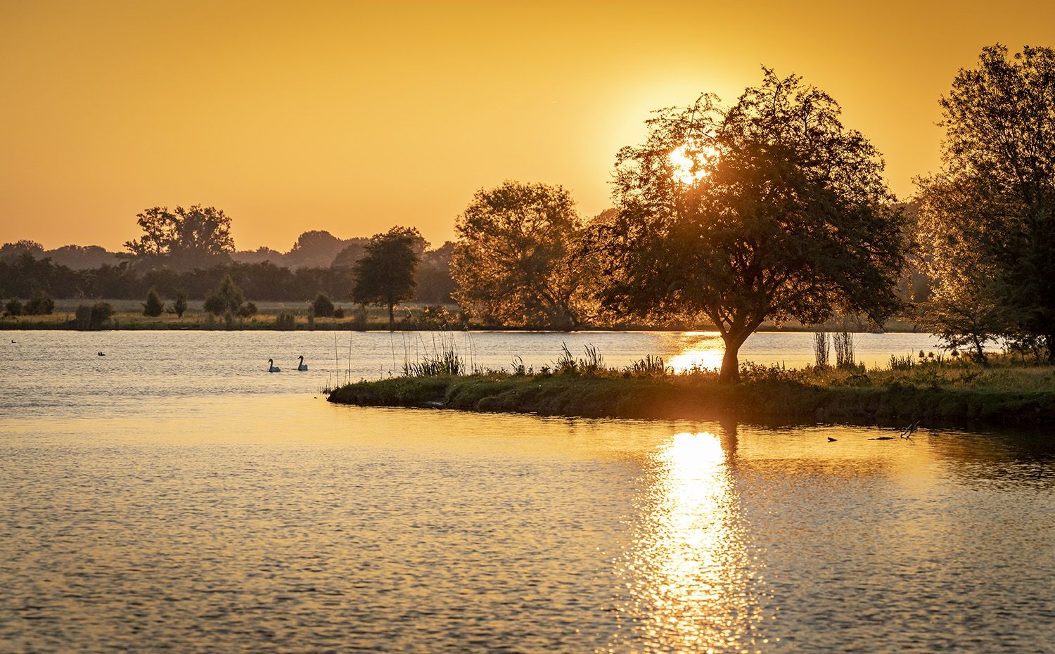 Water met boom bij zonsondergang, gemaakt in de uiterwaarden bij Elst